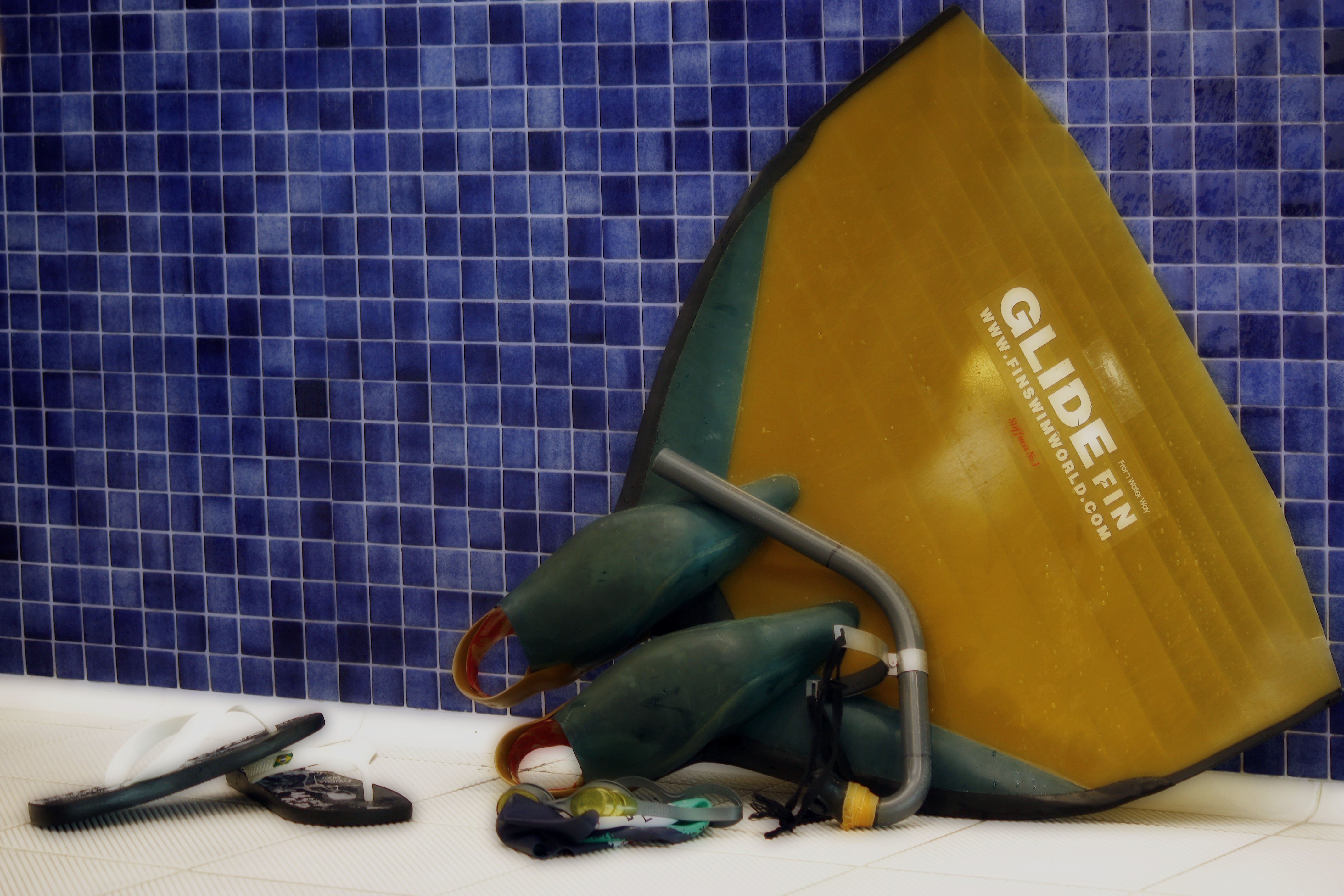 Reyno de Navarra - Nataci&oacute;n con Aletas